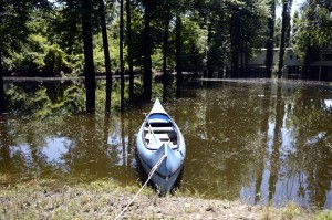 Árvíz - Helyreállítási munkálatok a Népszigeten