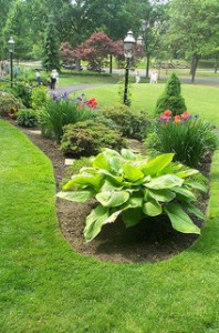 A profi kivitelezésű kertépítés önmagáért beszél