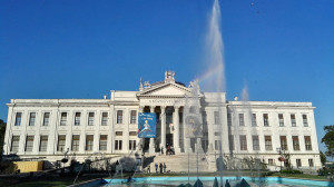 Móra Ferenc Múzeum 