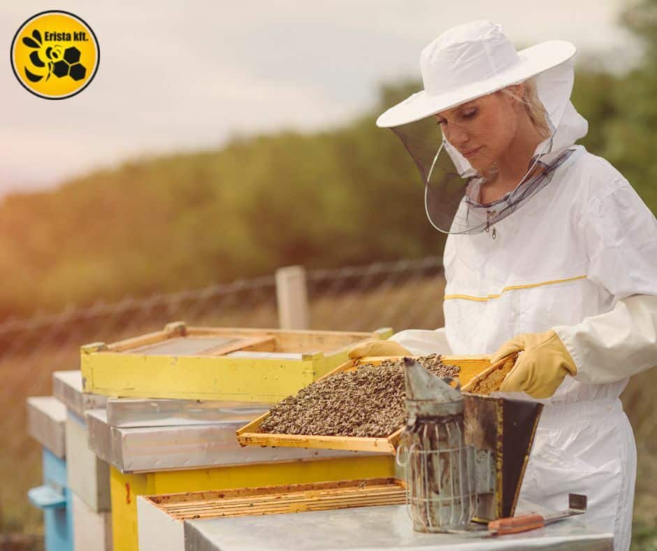 méhészeti eszközök